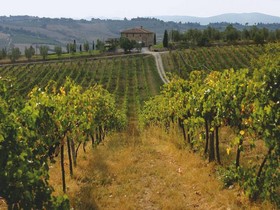 Tuscany self guided walking holiday, Italy