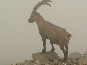 French Alps trekking holiday