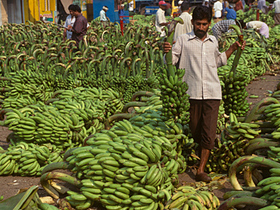 Travel photography tour in Kerala, India