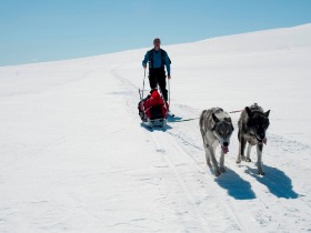 Finnmark ski touring holiday in Norway