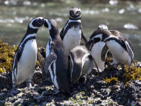 Chile luxury holiday, tailor made