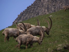 Self guided walking holiday in Switzerland