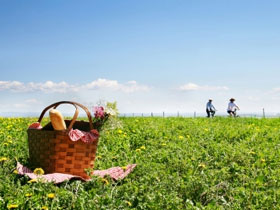 Guided cycling tour in Catalonia, Spain, for food lovers 