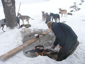 Slovakia dogsledding weekend