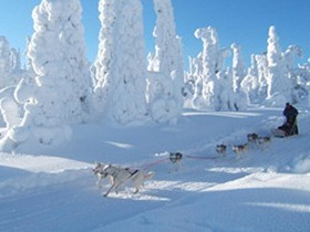 Winter activity holiday in Finland, tailor made