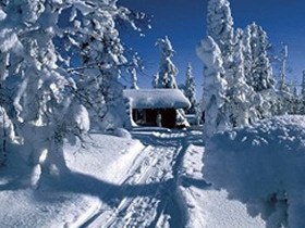 Winter activity holiday in Finland, tailor made