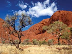 Uluru and the Olgas tour in Australia