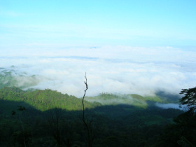 Nicaragua wildlife holiday