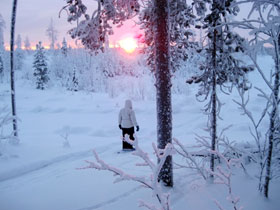 Swedish Lapland winter activity holiday & Northern Lights
