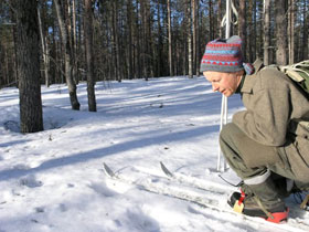 Swedish Lapland winter activity holiday & Northern Lights