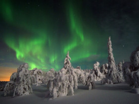 Winter activity holiday in Finland, Wild Taiga
