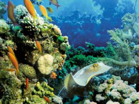 Maldives holidays, Dhoni cruise
