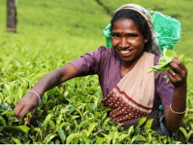 Sri Lanka holidays, tailor made