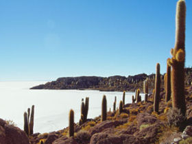 South America overland tour