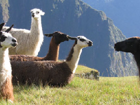 Inca Discovery holiday