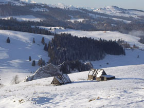 Snowshoeing holiday in Poland