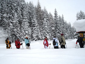 Winter activity week in Poland and Slovakia