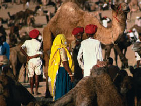 Adventure holiday in Rajasthan