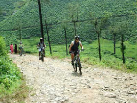 Cycling holidays in Kerala