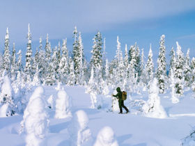 Lapland winter adventure holiday