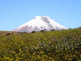 Galapagos & Ecuador tailor made holidays