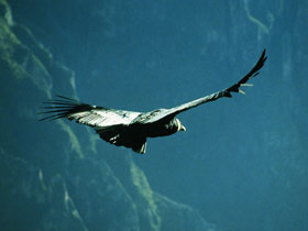 Tailor made holiday in Peru