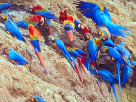 Tailor made holiday in Peru