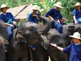 Thailand holidays, tailor made