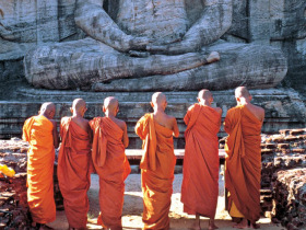 Sri Lanka family holiday with monkey conservation