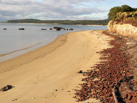 Tasmania walking holiday, tailor made