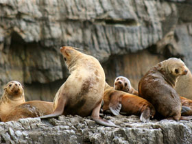 Tasmania walking holiday, tailor made