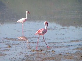 Family adventure holiday Kenya