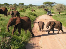 Family adventure holiday Kenya