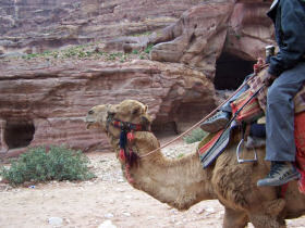 Egypt & Jordan holiday, Pyramids & Petra