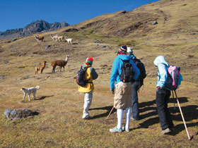 Inca trail holiday, Peru