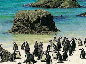 South Africa family holiday