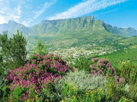 South Africa family holiday