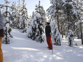 Northern Lights and Ayurvedic
