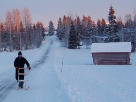 Northern Lights and Ayurvedic