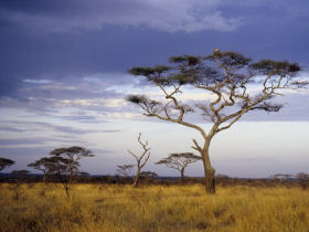 Rift Valley lodge safari in Tanzania