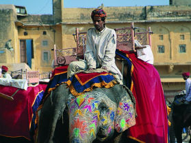 India tour