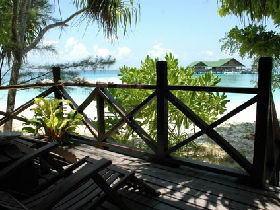 Borneo safari, jungle, mountain & beach