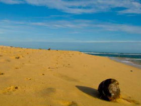 Beach holiday & tour in Sri Lanka