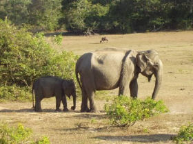 Beach holiday & tour in Sri Lanka