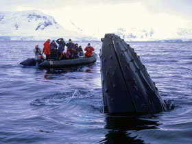 Arctic sailing voyages, Spitsbergen