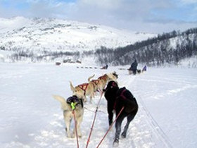 Family short break holiday in Swedish Lapland