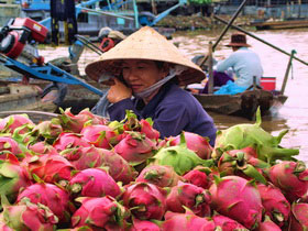 Indochina overland tour, Saigon to Angkor