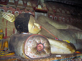 Family tour to Sri Lanka