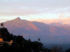 Family tour to Sri Lanka