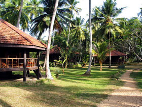 Family tour to Sri Lanka